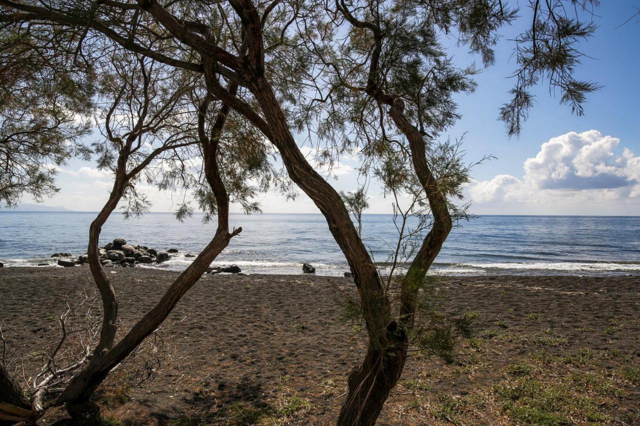 Exi Sea Side Aparthotel